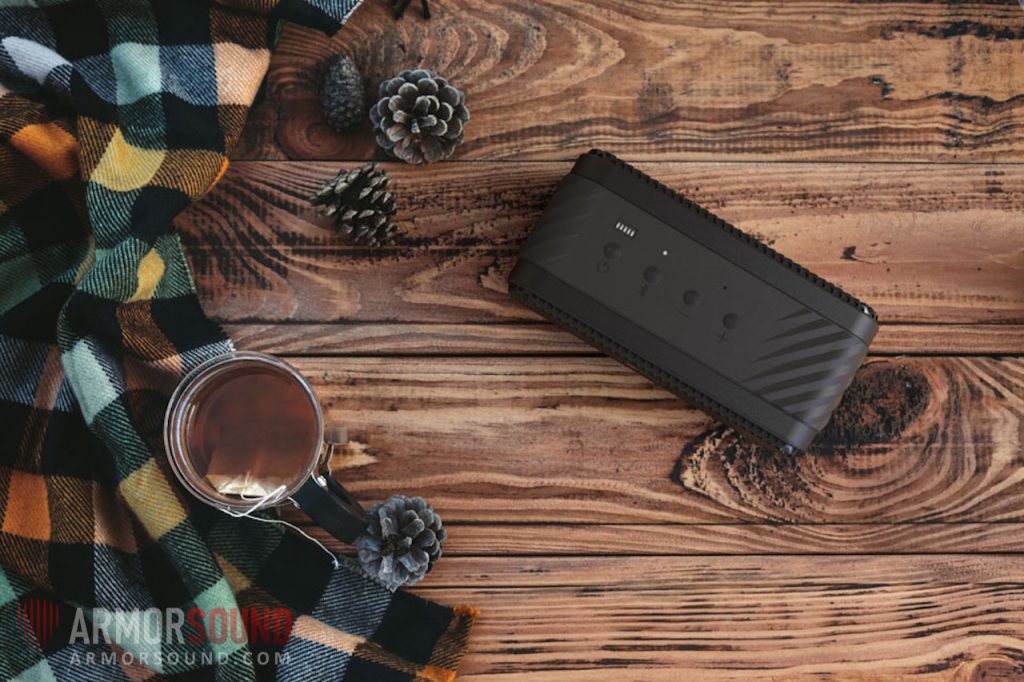 Top Best Compact Portable Speakers for Audiophiles Buyer's Guide